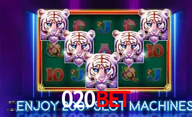 020BET: A Experiência de Casino com Jogos de Mesa ao Vivo